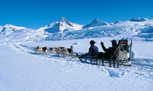 greenland-east-husky-sledge.jpg_2092326501