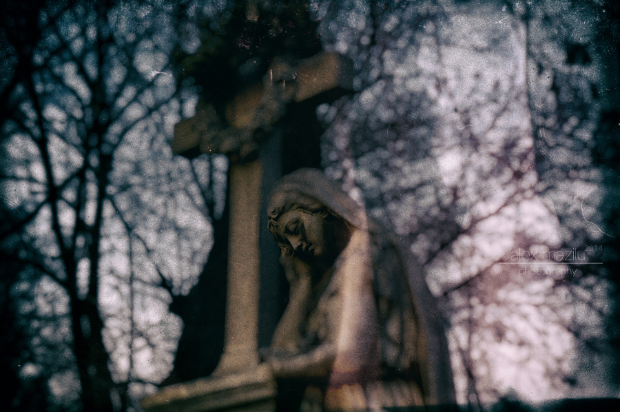 DSC_5332ii