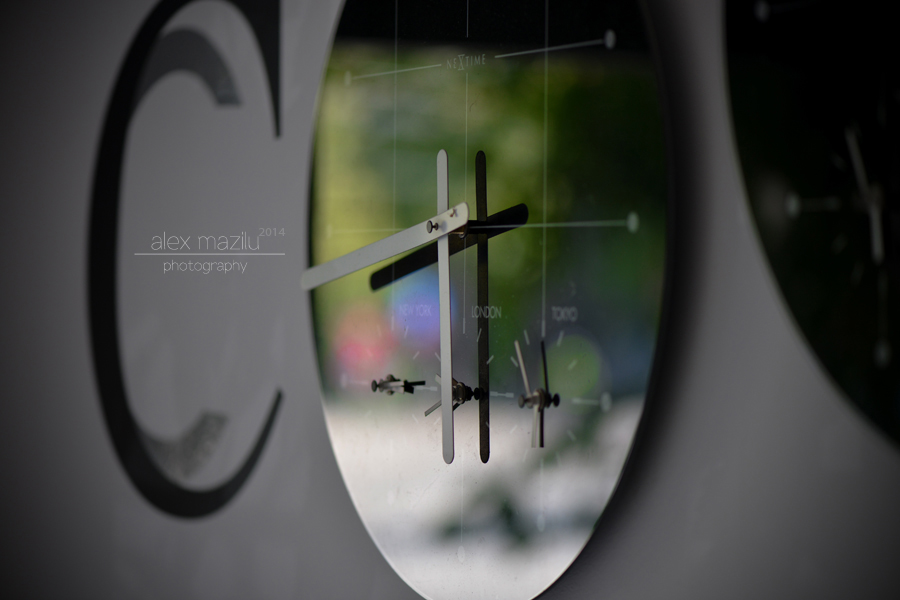 DSC_8087ii