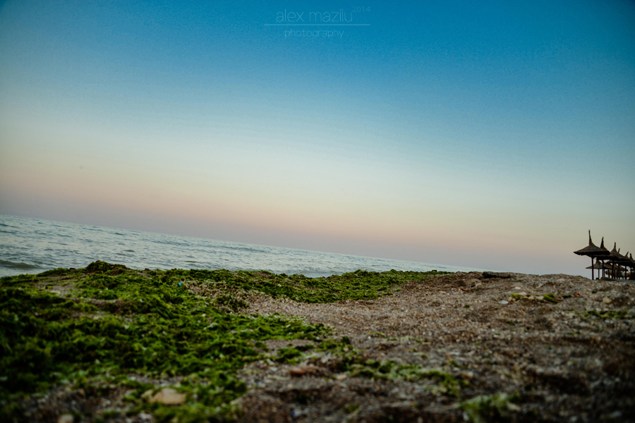 DSC_0339ii