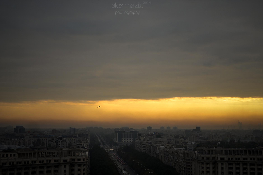 DSC_4746ii