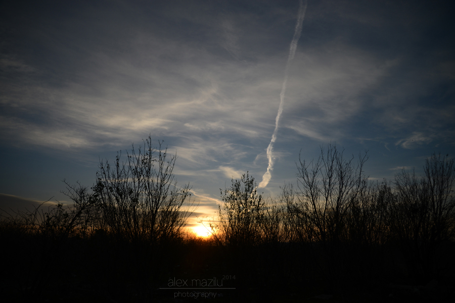 DSC_2941ii