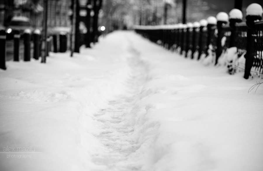 DSC_4872ii
