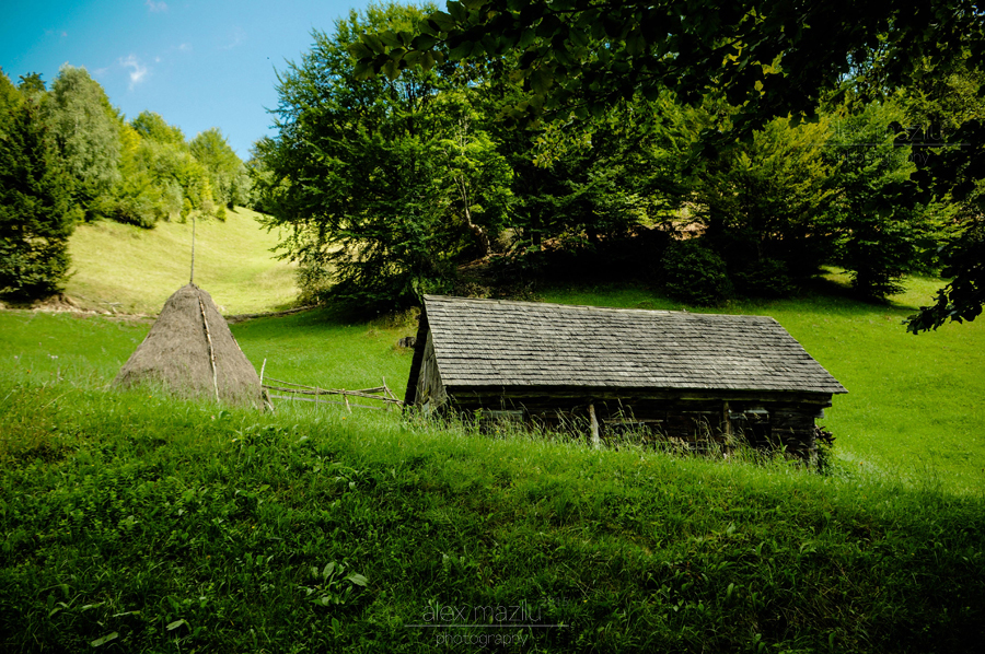 DSC_8;156ii