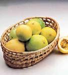 Regimul alimentar in complicatiile diabetului zaharat Regimul alimentar in complicatiile diabetului zaharat