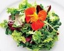 Dieta pentru accelerarea metabolismului Dieta pentru accelerarea metabolismului