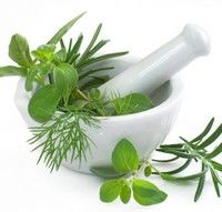 Coada soricelului si galbenelele: la ce te ajuta? Coada soricelului si galbenelele: la ce te ajuta?