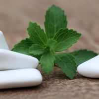 Ingrediente periculoase din guma de mestecat: citeste eticheta!