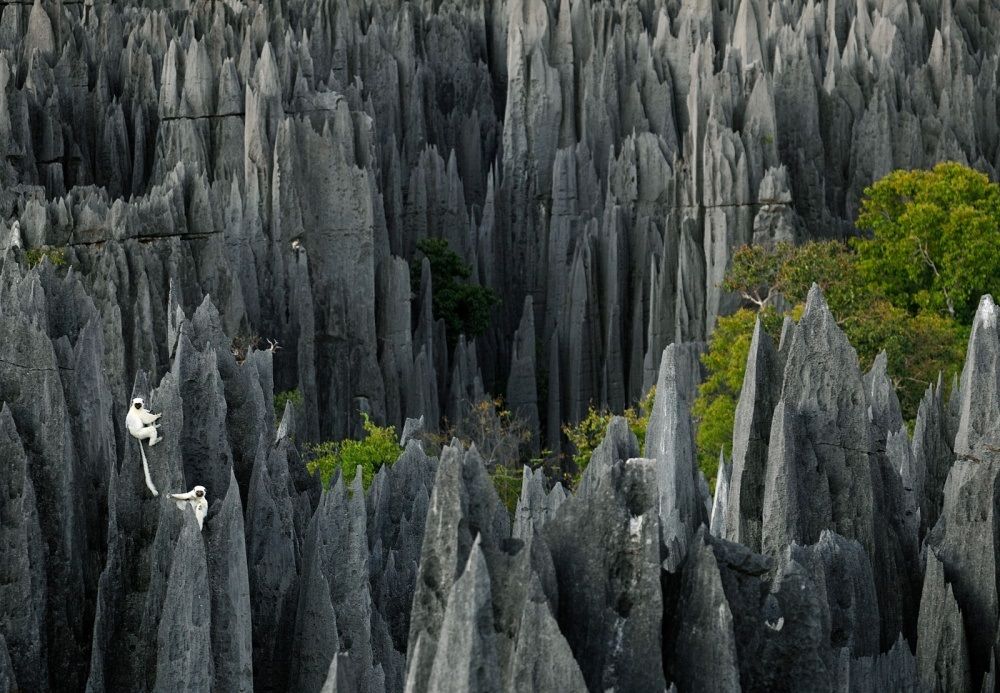 Tsingy de Bemaraha, p?durea de piatr? din Madagascar