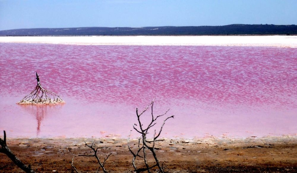 Lacul Roz, Australia