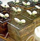 Prajitura chinezeasca