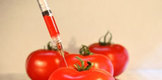 Alimente ecologice versus alimente conventionale