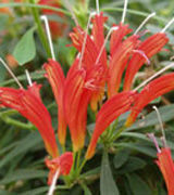 Nu iti (mai) place canapeaua? Nu o arunca!