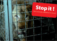 "Stop it!" - Campanie online interactiva pentru interzicerea folosirii animalelor salbatice in circuri