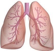 Cancerul pulmonar, o adevarata epidemie globala
