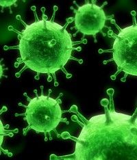 Gripa noua a provocat pana in prezent 8 decese