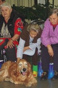 Terapia cu animale le-a redat zambetele seniorilor de la Casa Max