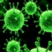 Ultimele 24 de ore: 40 de imbolnaviri cu virus gripal A/H1N1