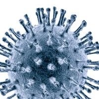 Niciun caz de gripa pandemica in ultimele 24 de ore