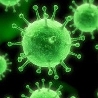MS: Romania e inregistrata cu 122 decese confirmate cu A/H1N1