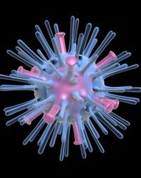 Niciun caz de imbolnavire cu gripa pandemica