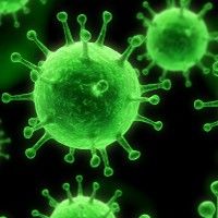 Nu au fost confirmate noi cazuri de gripa A/H1N1
