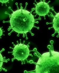 Nu s-a confirmat niciun caz de gripa pandemica