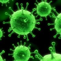 Nu s-a confirmat niciun caz de gripa pandemica