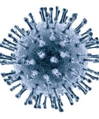 Niciun caz de imbolnavire cu virus A/H1N1 pandemic