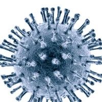 Niciun caz de imbolnavire cu virus A/H1N1 pandemic