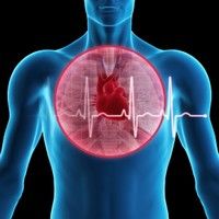 Nivelul ridicat de testosteron, asociat cu bolile de inima