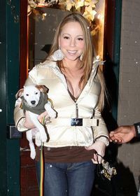 Mariah Carey, data in judecata de veterinar