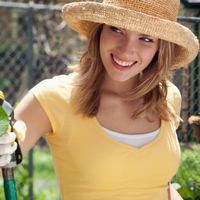 Plantele cu bulbi - prospeţime şi culoare