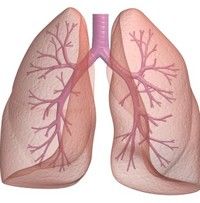 Hipertensiunea pulmonară netratată, mai severă decât cancerul
