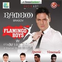 Flamingo Boys la Bamboo Brasov