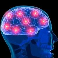 6 mituri despre creier