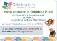 Orhideea Kids, CASA dinainte de ACASA