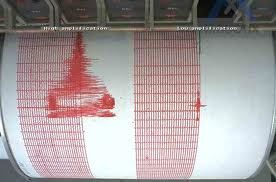 Cutremur de 4,1 grade pe scara Richter în Vrancea