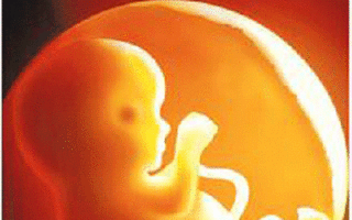 5 milioane de copii născuți prin fertilizarea in vitro