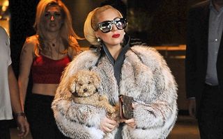 Apariţie şoc: Lady Gaga în Bulgaria, îmbrăcată cu o haină de blană!