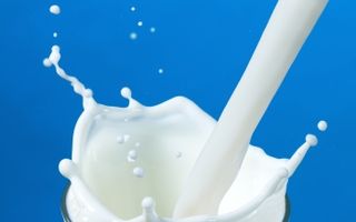 Care e mai sănătos: laptele crud, pasteurizat sau ultrapasteurizat (UHT)?