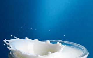 Danone retrage de pe piaţă lactate posibil contaminate cu aflatoxină