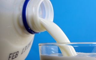 Laptele: Este bun sau nu pentru sănătate? Trei păreri pro şi trei contra