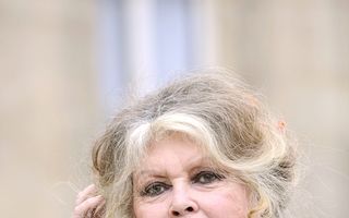 Brigitte Bardot le ia apărarea câinilor