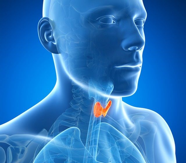 glanda tiroidă afectează erecția