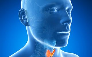 Cancer: 5 simptome îngrijorătoare care anunţă o tumoare la glanda tiroidă