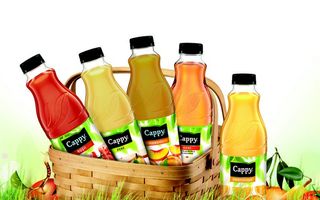 Coca-Cola România relansează portofoliul de băuturi din sucuri de fructe Cappy