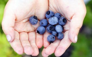 Dieta cu fructe şi legume purpurii, cea mai în vogă tendinţă în curele de slăbire