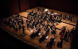 Sărbătoreşte Ziua Europei printr-un concert de muzică simfonică