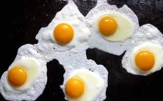 Dieta bogată în ouă, peşte şi carne, cea mai eficientă metodă de a slăbi